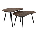 ΣΕΤ 2 ΤΡΑΠΕΖΑΚΙΑ ΣΑΛΟΝΙΟΥ Fylliana Gaia ΚΑΦΕ ΧΡΩΜΑ 76x52x45εκ & 76x52x38εκ